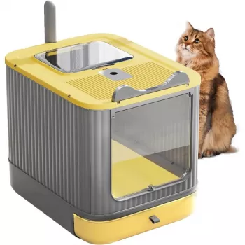 Best Enclosed Cat Litter Box: Size, Entry, Easy Cleaning