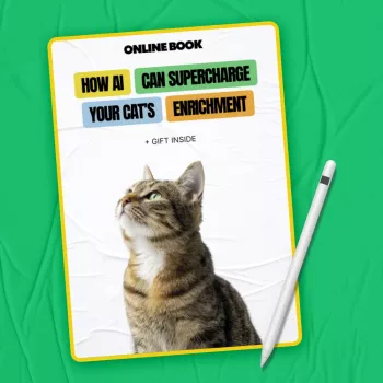 AI Cat Enrichment Plans: Smarter Play, Training & Routines