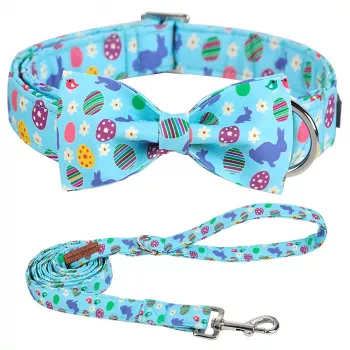 Colorful Easter Bunny Dog Collar + Bowtie: Fit & Style