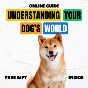 Dog Behavior Explained: Read Signals & Fix Common Issues