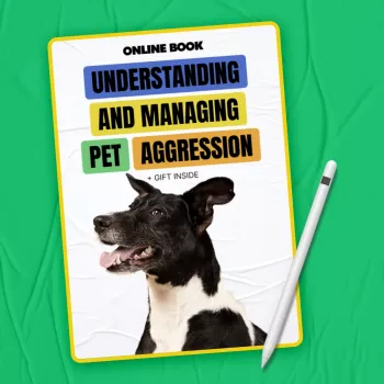 Pet Aggression: Behavior Change Timeline & Key Factors