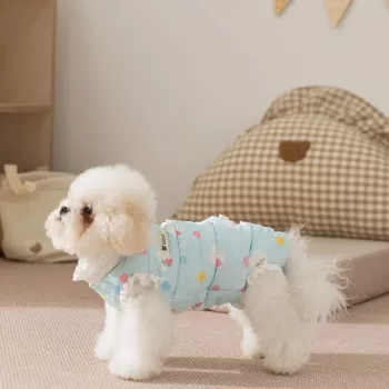 Winter Cozy Essentials: Warm Layers, Home Comfort & Pets
