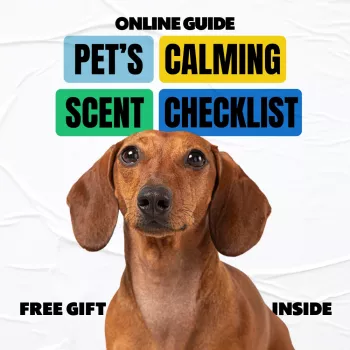 Printable Calming Scent Checklist for Anxious Pets
