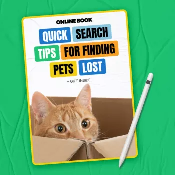 Lost Pet Search Tips: Fast Steps for Dogs & Cats