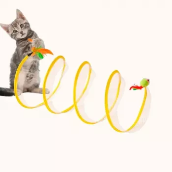 Do All Cats Like Tunnels? What to Expect and Try